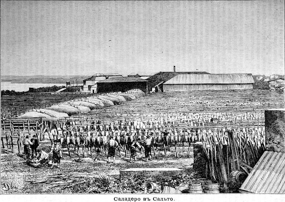 385 Саладеро в Сальто